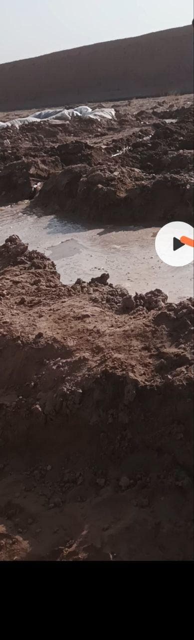 باغچه فروشی